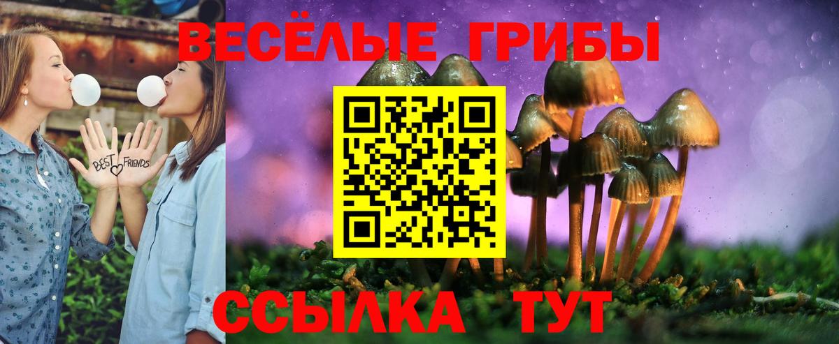 Калуга  Галлюциногенные грибы Psilocybine cubensis  где купить   Вход с VPN 